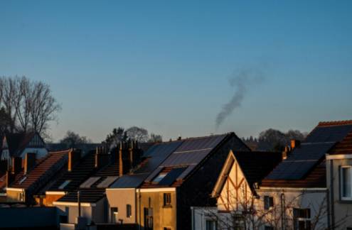 De Essentiële Gids voor Biologische Tuinbenodigdheden