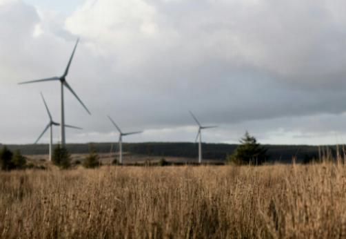 Eenvoudige stappen voor het implementeren van regenwateropvang